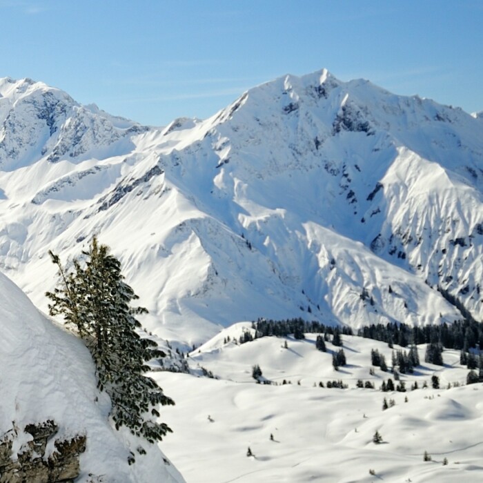 Winterurlaub am Arlberg in Österreich - Aparthotel Lech Valley Lodge in Warth