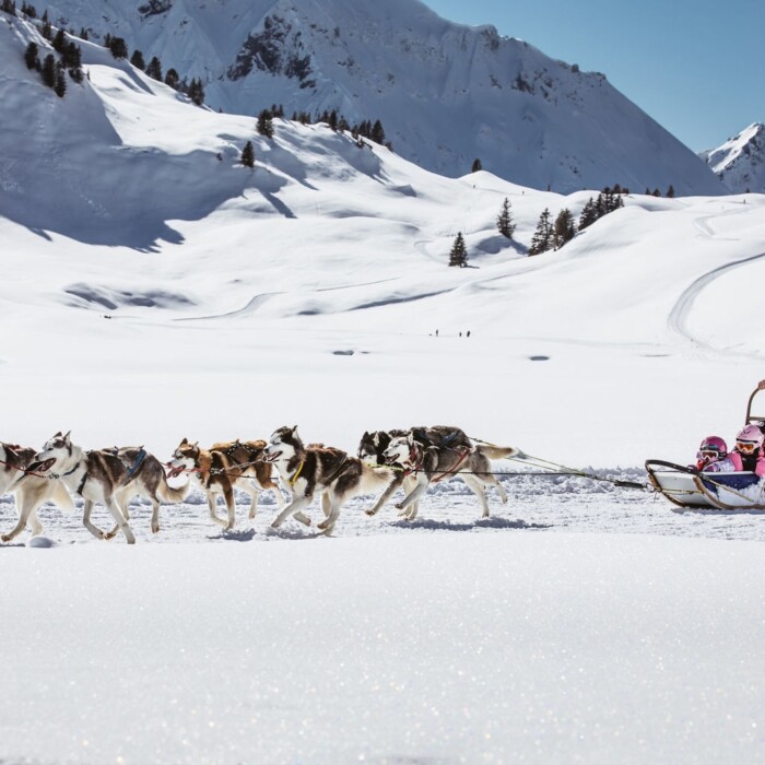Huskey Schlittenfahrt in Warth - Familienurlaub in Österreich