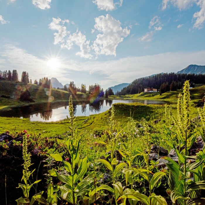 Wellnessurlaub am Arlberg in Österreich - Wellnesshotel Lech Valley Lodge in Warth