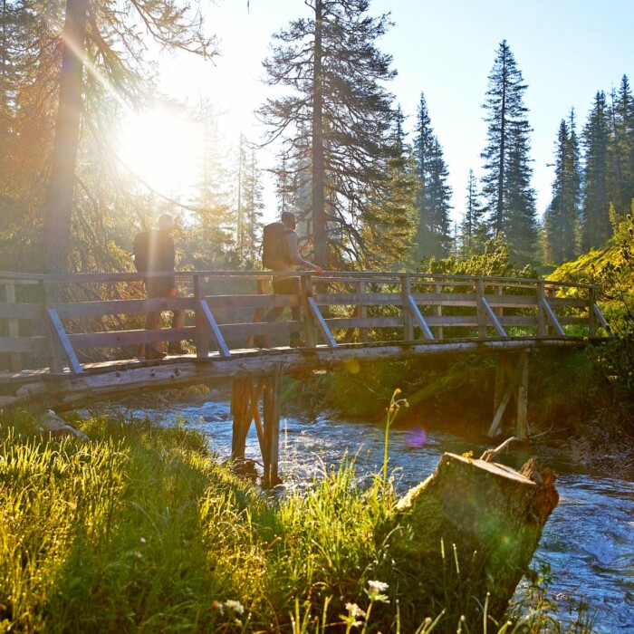 Wanderurlaub Österreich - Lechtal und der Lechweg am Arlberg in Österreich