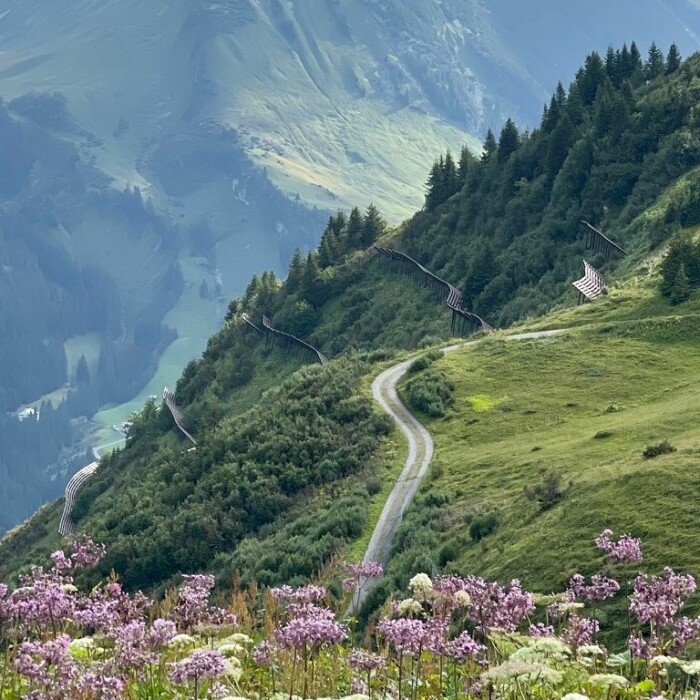 Wanderweg in Warth am Arlberg - Wannenkopf im Sommer