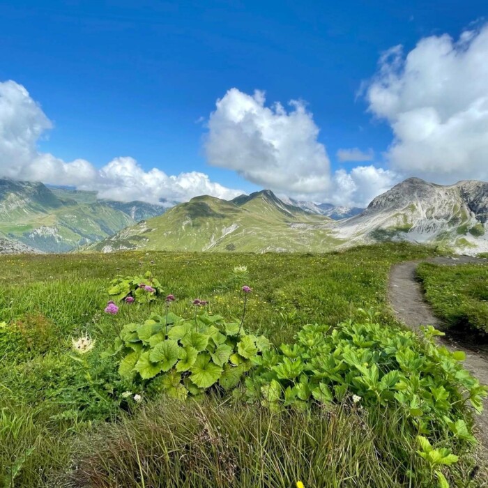 Mountainbiken in den Bergen - Biker Paradies am Arlberg - Urlaub in Österreich mit Bike