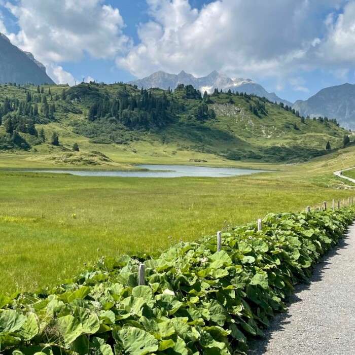 Kalbelesee Arlberg - Wanderweg