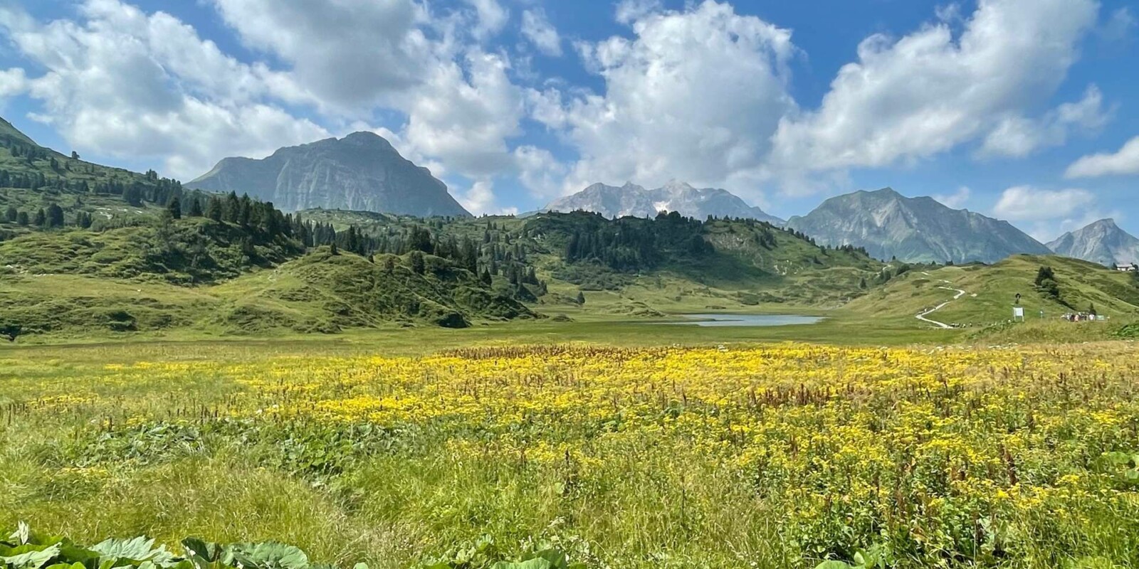 Sommerurlaub in Vorarlberg - Urlaub im Hotel Lech Valley Lodge