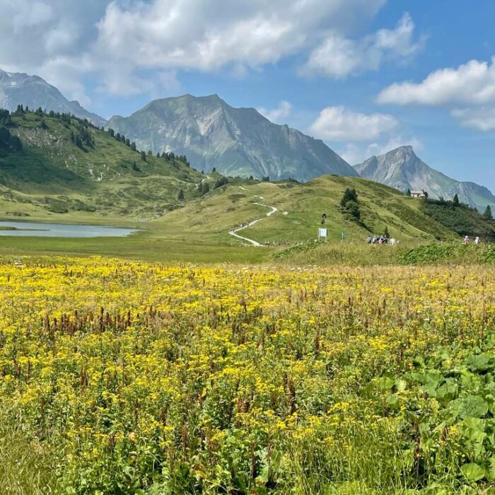 Wandern am Kabelesee in Österreich - Wanderurlaub in der Lech Valley Lodge