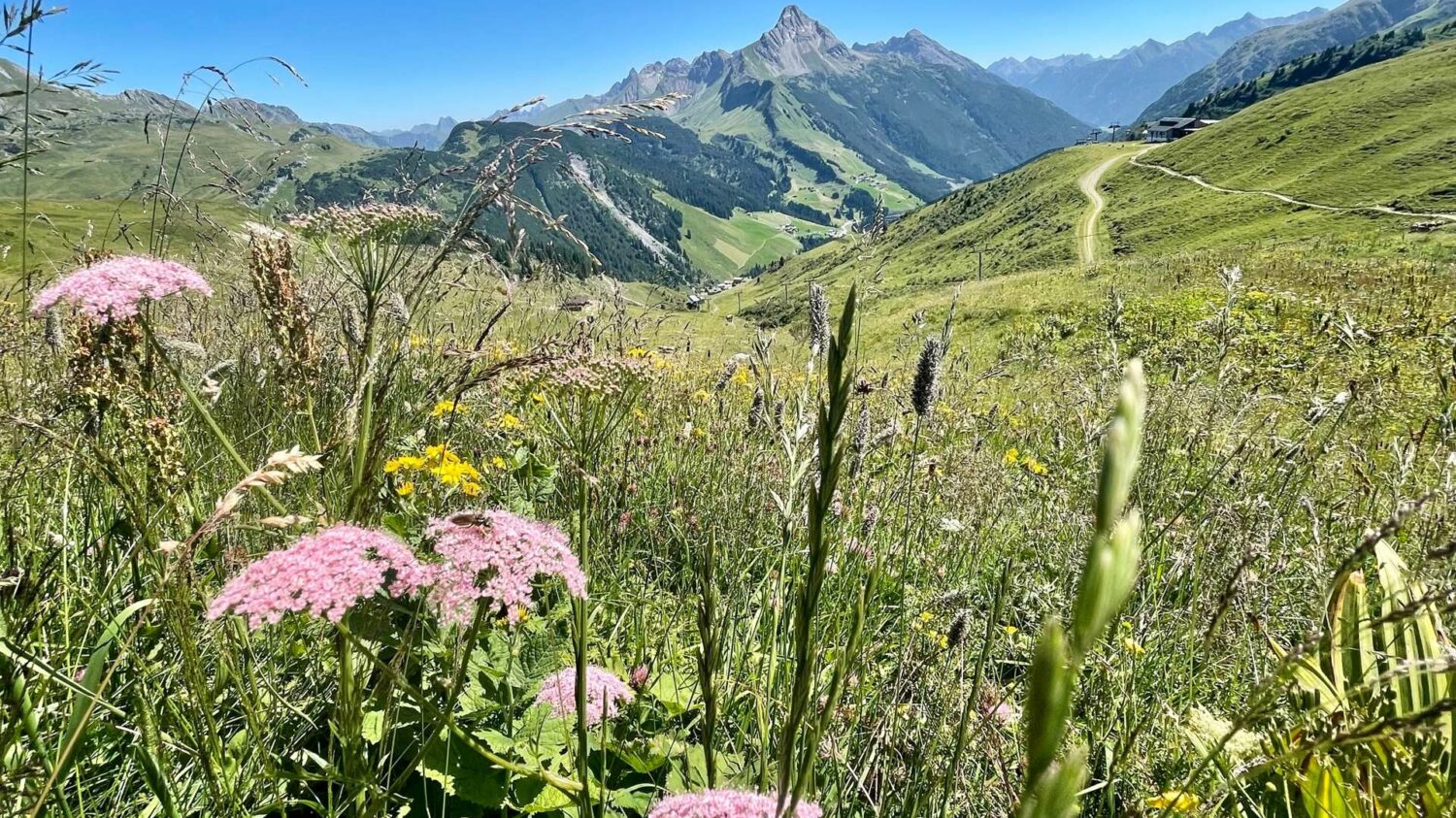 Wanderurlaub Österreich - Urlaub im Hotel in Warth - Lech Valley Lodge am Arlberg