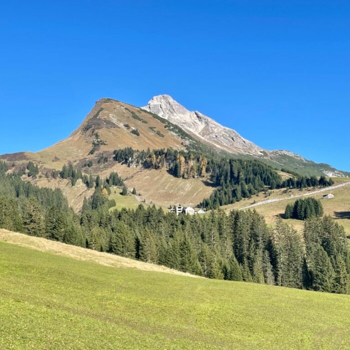 Biberkopf in Österreich