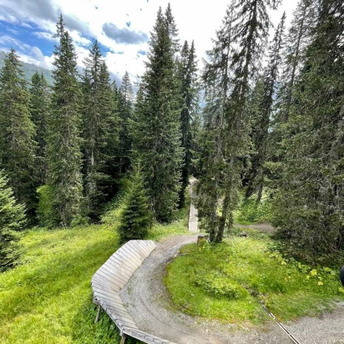 Mountainbiken am Arlberg in Österreich - Burgwald Trail