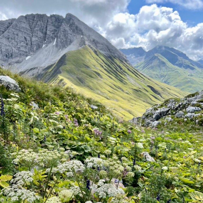 Sommerurlaub Österreich - Wandern - Mountainbiken