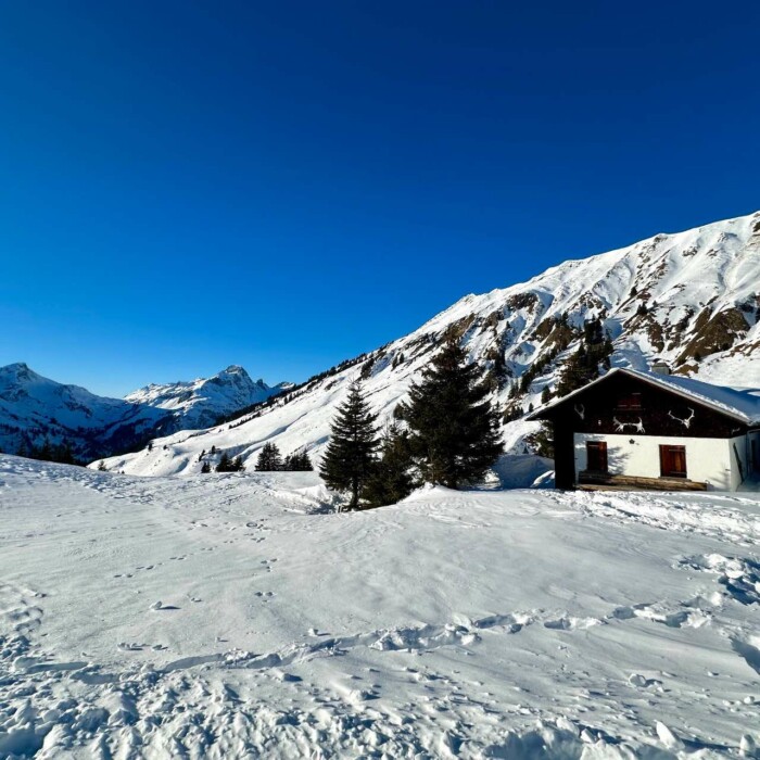 Winterurlaub am Arlberg in Österreich - traumhafte Pisten im gesamten Skigebiet - Urlaub mit der Familie im Winter