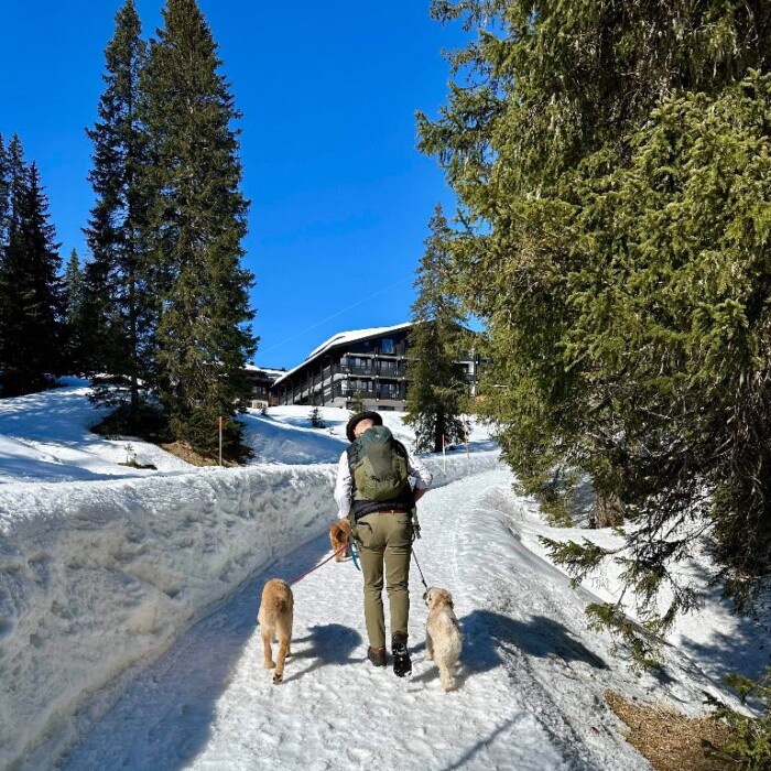 Urlaub mit Hund in Österreich - einzigaritge Hotels - Chalets und Lodges - Hundeurlaub in Warth und Lech am Arlberg
