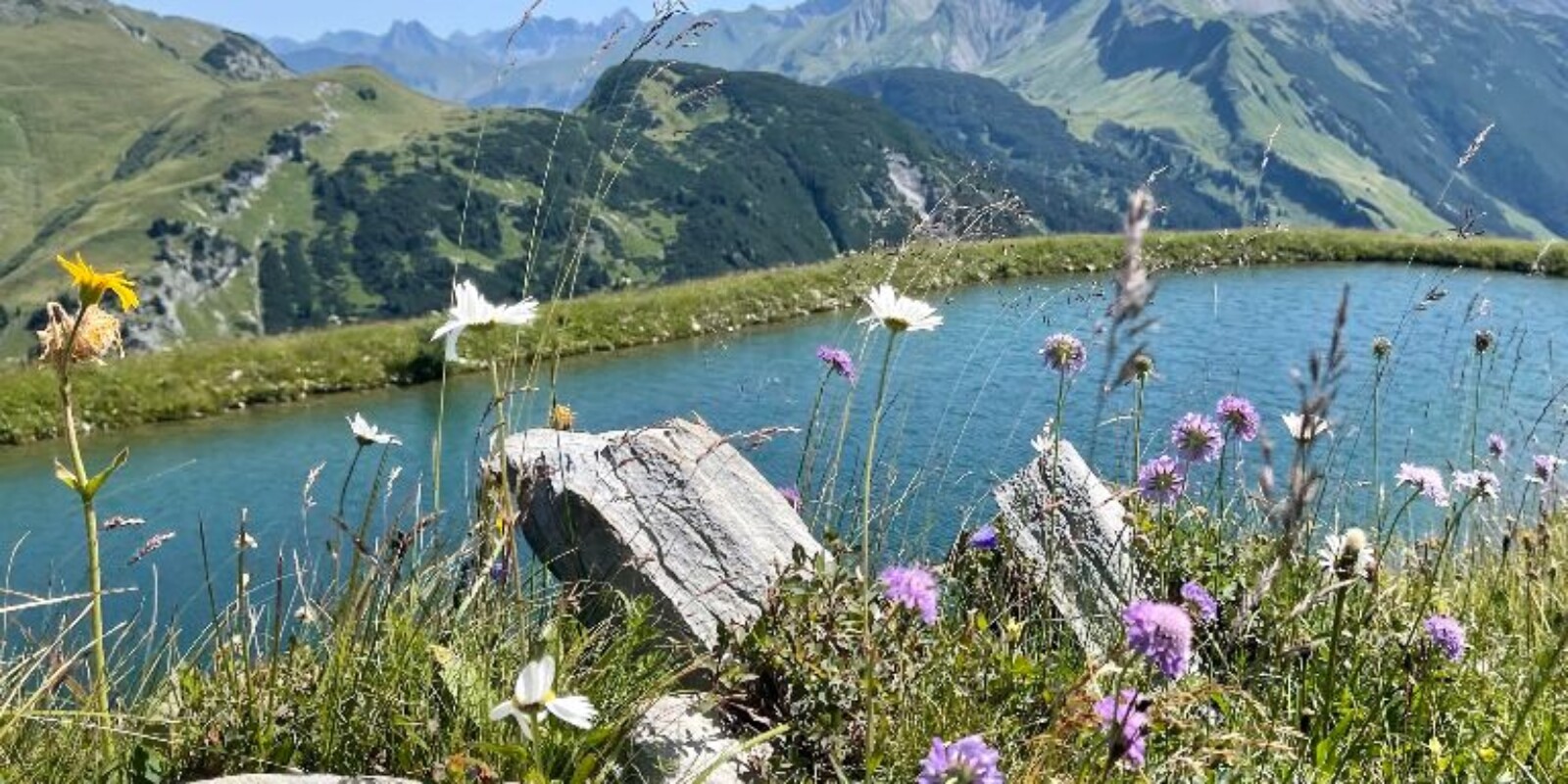 Bregenzerwald die schönsten Berge und Seen in der Region - die besten 5 Tipps zum Wandern